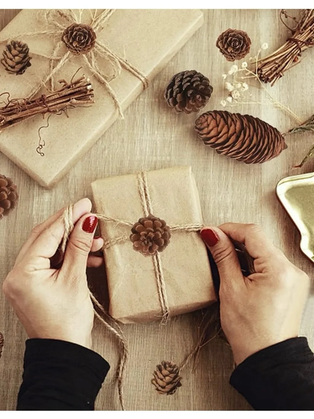 Natural Brown Pine Cone Mix for Home Holiday Decor